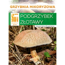 Hřib žlutomas (Xerocomus...