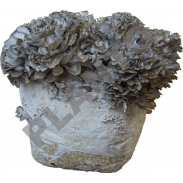 Maitake substrát  3kg