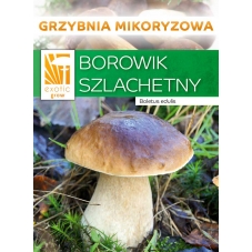 Hřib smrkový ( Boletus...