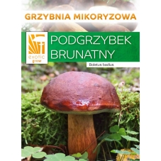 Hřib hnědý ( Boletus badius...