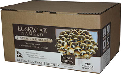 Šupinovka nameko